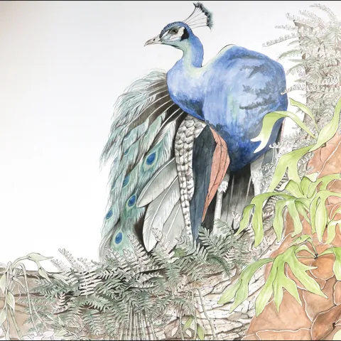Watercolor painting of a peacock perched among palm fronds